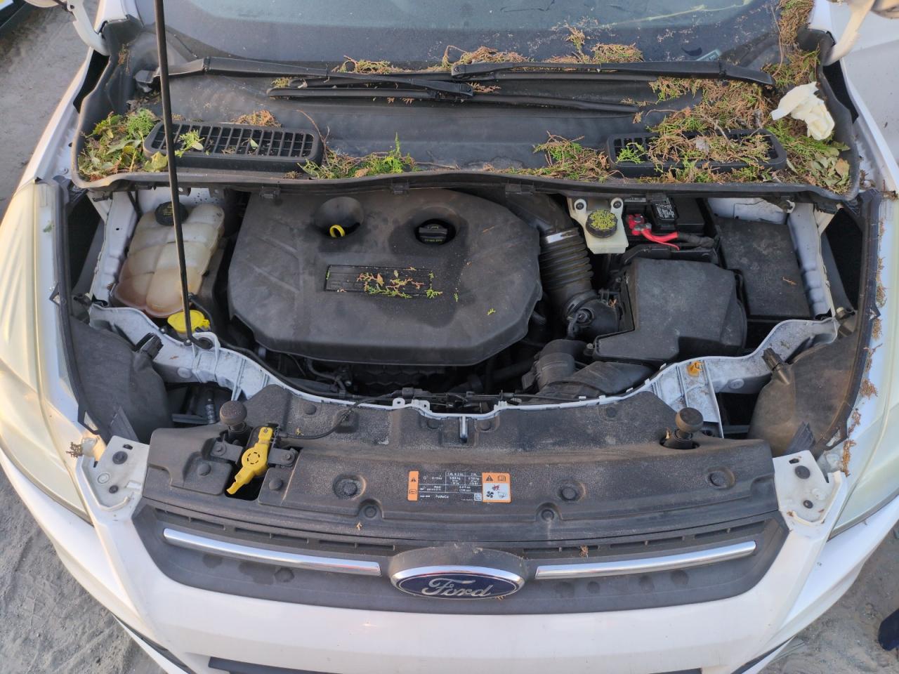 2014 Ford Escape VIN 1FMCU9G91EUB21593 Copart auction photo, water/flood damage thumbnail 12