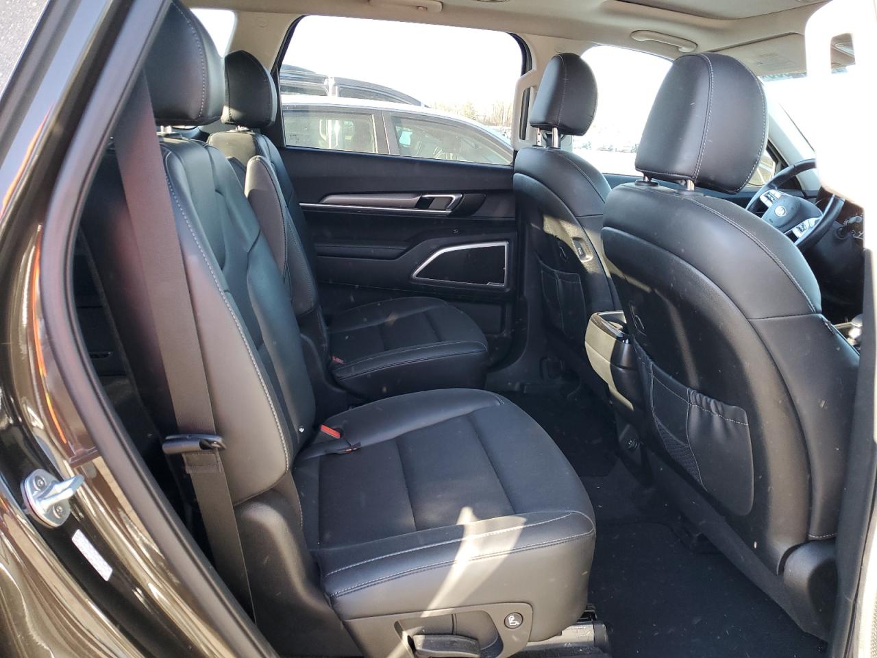 2021 KIA Telluride VIN 5XYP6DHC9MG103954 Copart auction photo, hail damage thumbnail 11