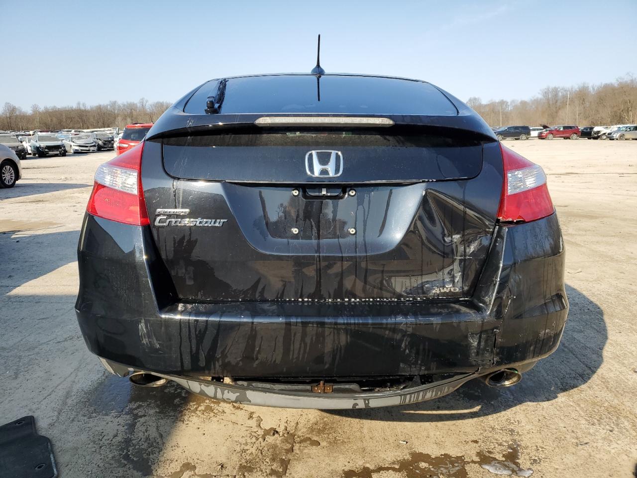 2010 Honda Accord VIN 5J6TF2H56AL013868 Copart auction photo, rear end damage thumbnail 6