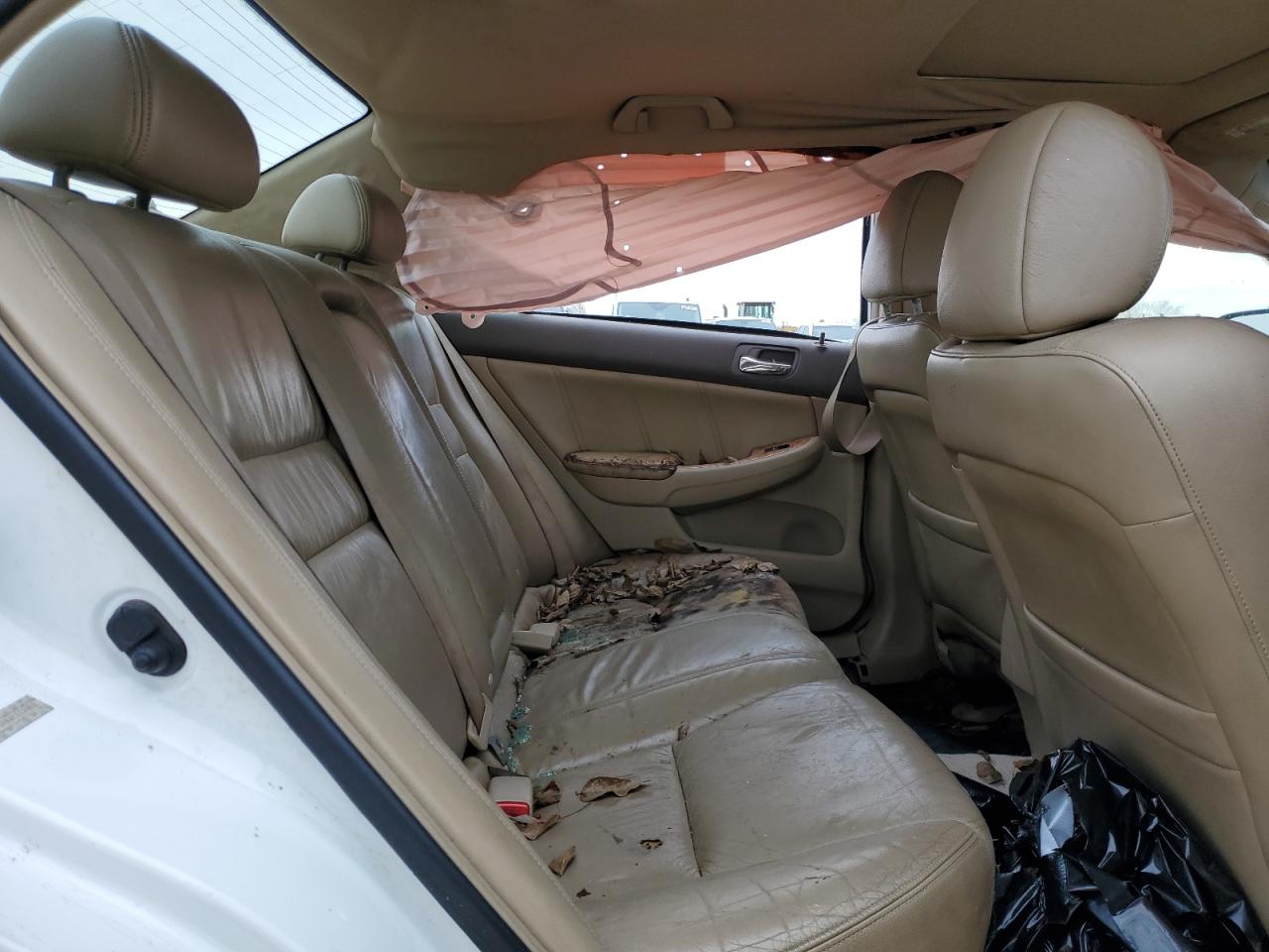2004 Honda Accord VIN JHMCM56884C022083 Copart auction photo, side damage thumbnail 10