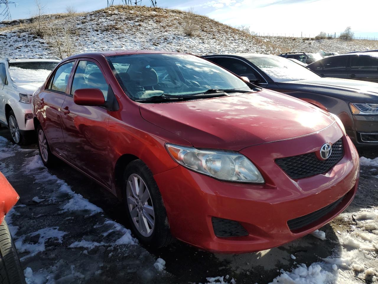 2010 Toyota Corolla VIN 2T1BU4EE0AC382837 Copart auction photo, hail / side damage thumbnail 4