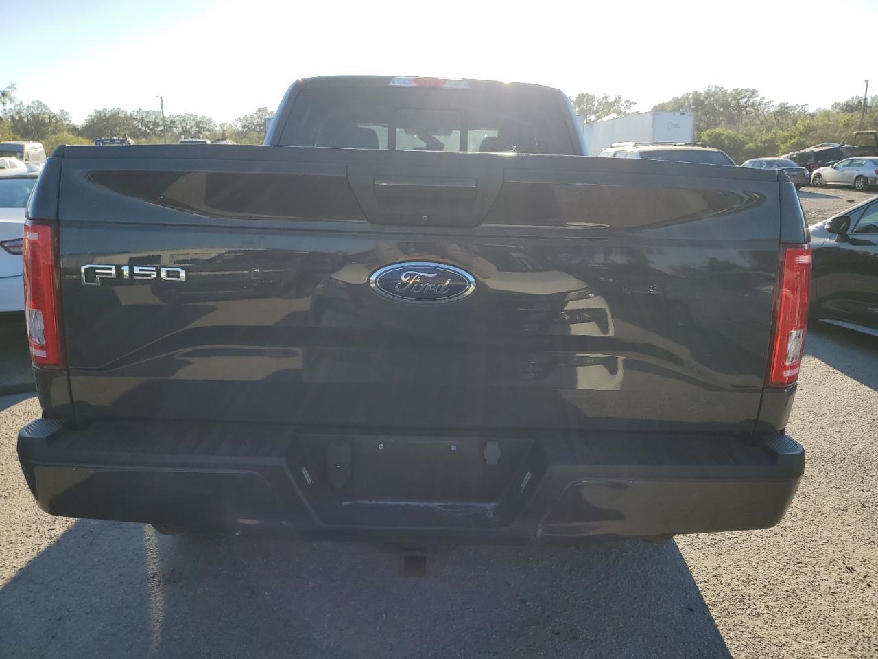 2016 Ford F-150 VIN 1FTEX1EP7GFB33519 Copart auction photo, front end / side damage thumbnail 6
