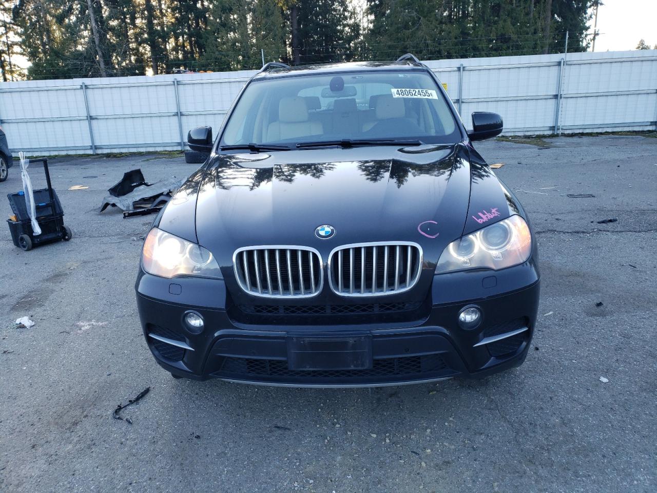 2013 BMW X5 VIN 5UXZV4C58D0G53805 Copart auction photo, rear end damage thumbnail 5