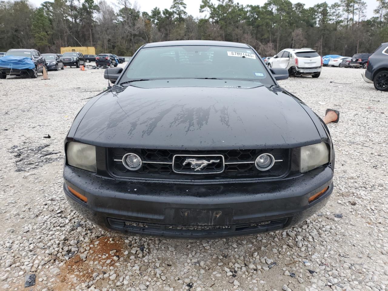 2008 Ford Mustang VIN 1ZVHT80N585152632 Copart auction photo, side / minor dent/scratches damage thumbnail 5