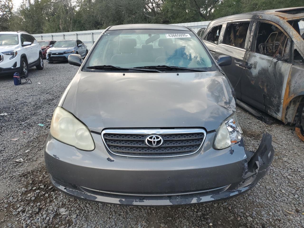 2008 Toyota Corolla VIN 1NXBR32E38Z964827 Copart auction photo, front end / side damage thumbnail 5