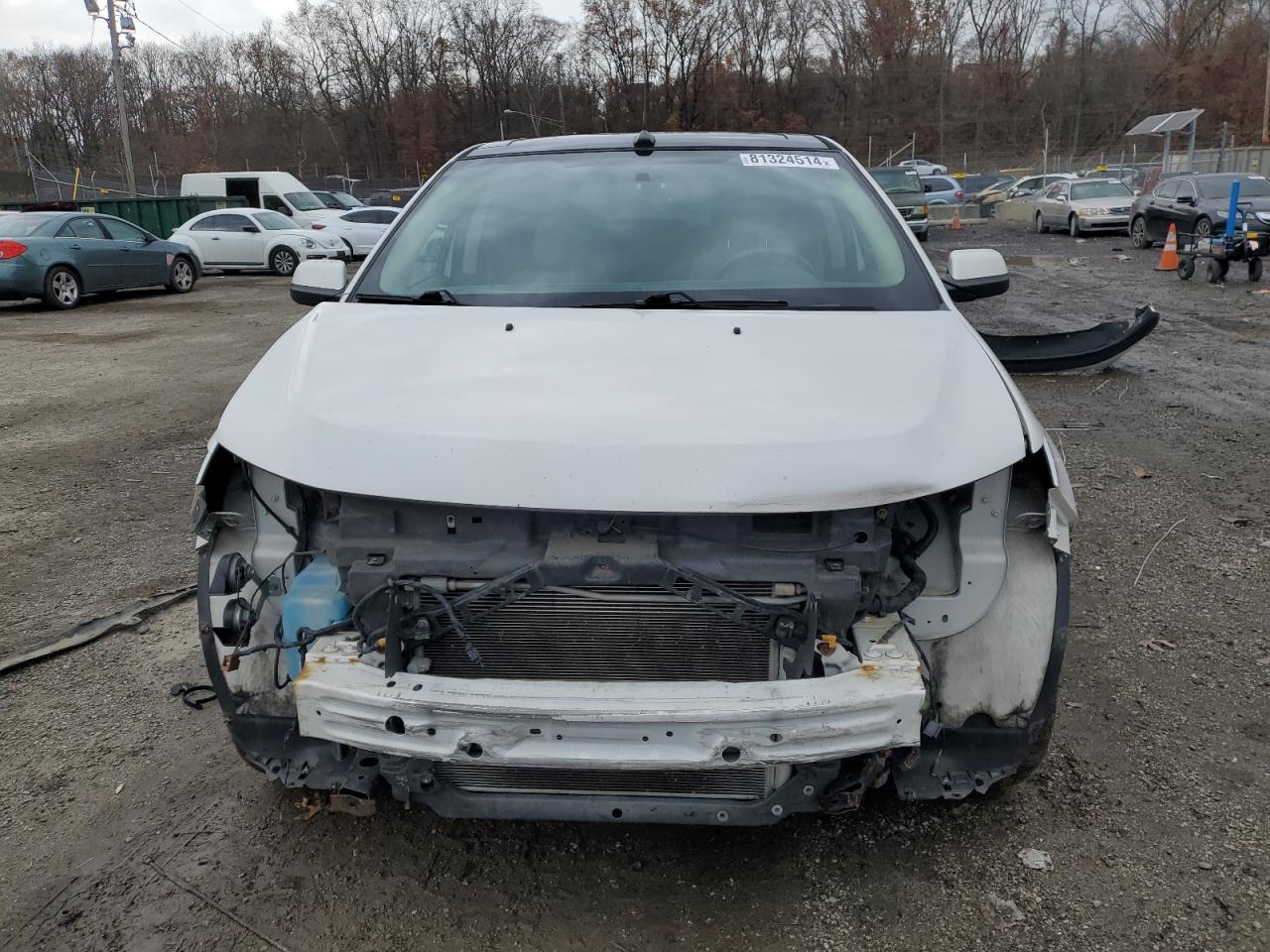2014 Ford Edge VIN 2FMDK4JC4EBA15890 Copart auction photo, front end damage thumbnail 5