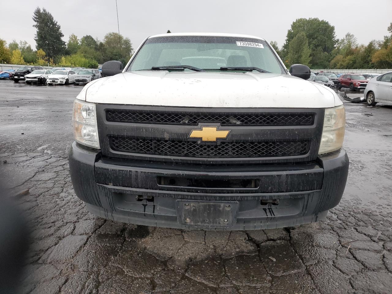 2013 Chevrolet Silverado VIN 1GCNCPE01DZ187474 Copart auction photo, side damage thumbnail 5