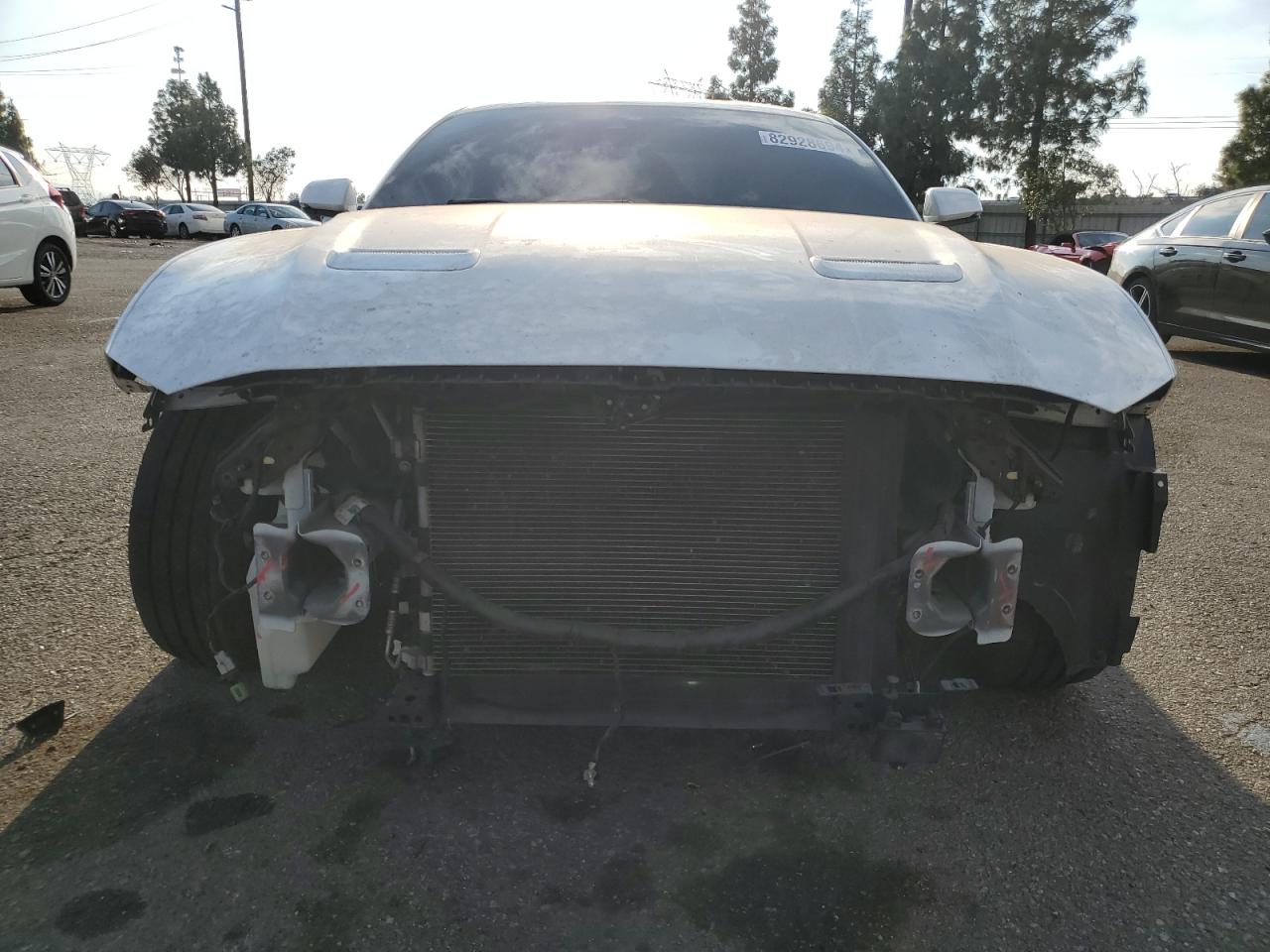 2019 Ford Mustang VIN 1FA6P8CF4K5189736 Copart auction photo, front end damage thumbnail 5