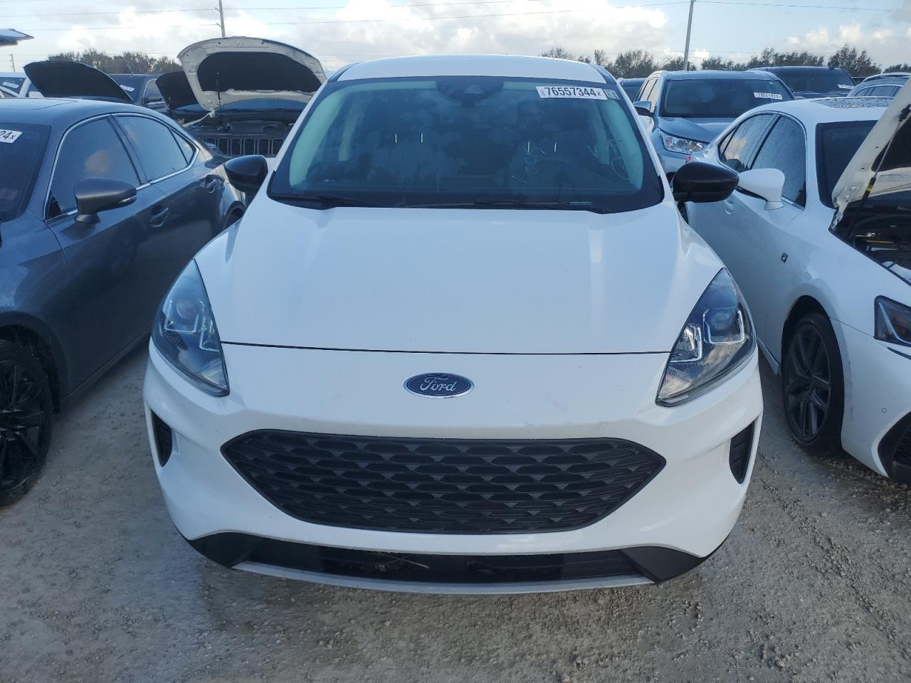 2021 Ford Escape VIN 1FMCU0F67MUA77746 Copart auction photo, water/flood damage thumbnail 5