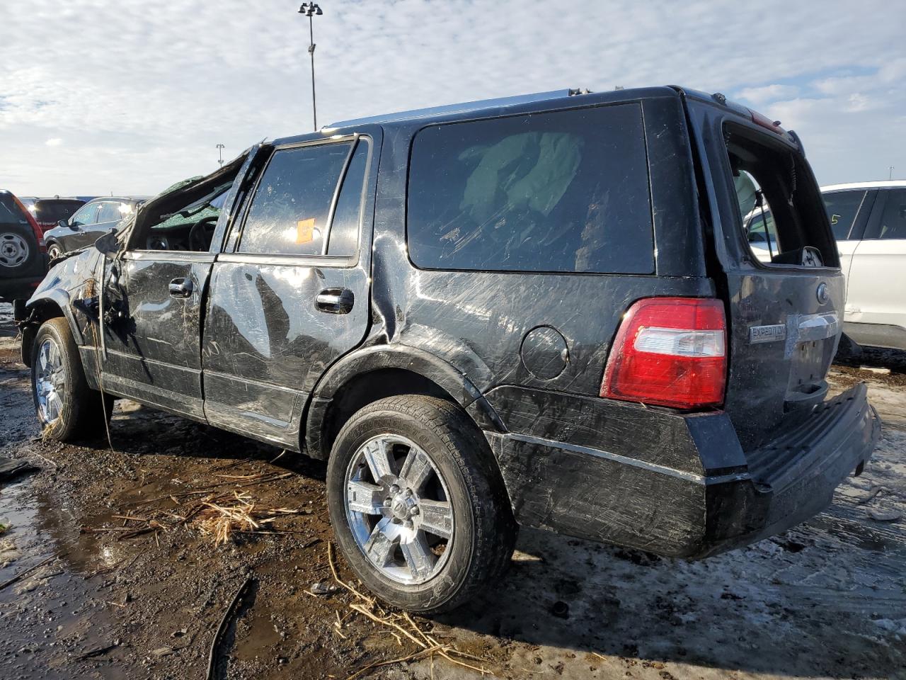 2010 Ford Expedition VIN 1FMJU2A57AEB46202 Copart auction photo, rollover / all over damage thumbnail 2