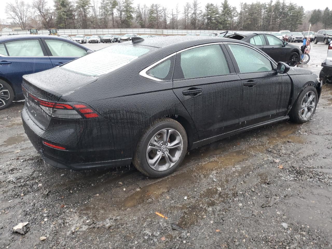 2024 Honda Accord VIN 1HGCY1F30RA056011 Copart auction photo, front end / undercarriage damage thumbnail 3