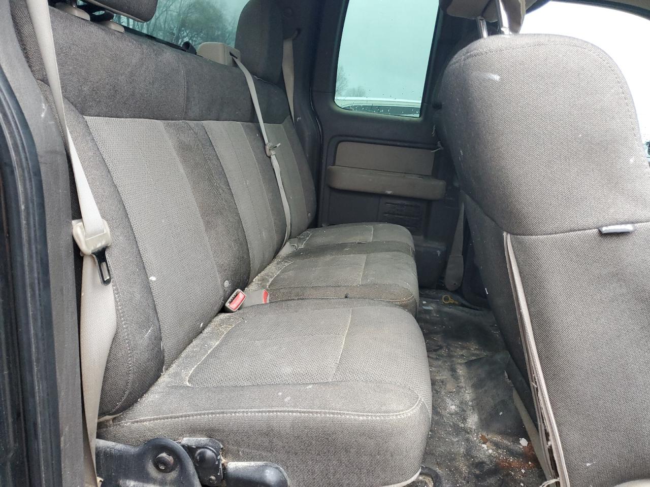 2010 Ford F-150 VIN 1FTEX1E85AFA64524 Copart auction photo, side / minor dent/scratches damage thumbnail 10