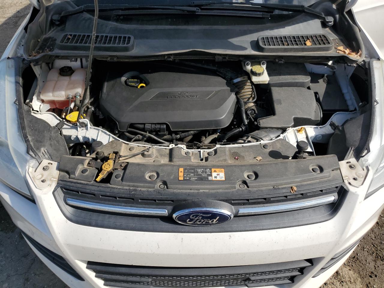 2014 Ford Escape VIN 1FMCU0GX3EUB76413 Copart auction photo, rear end damage thumbnail 13