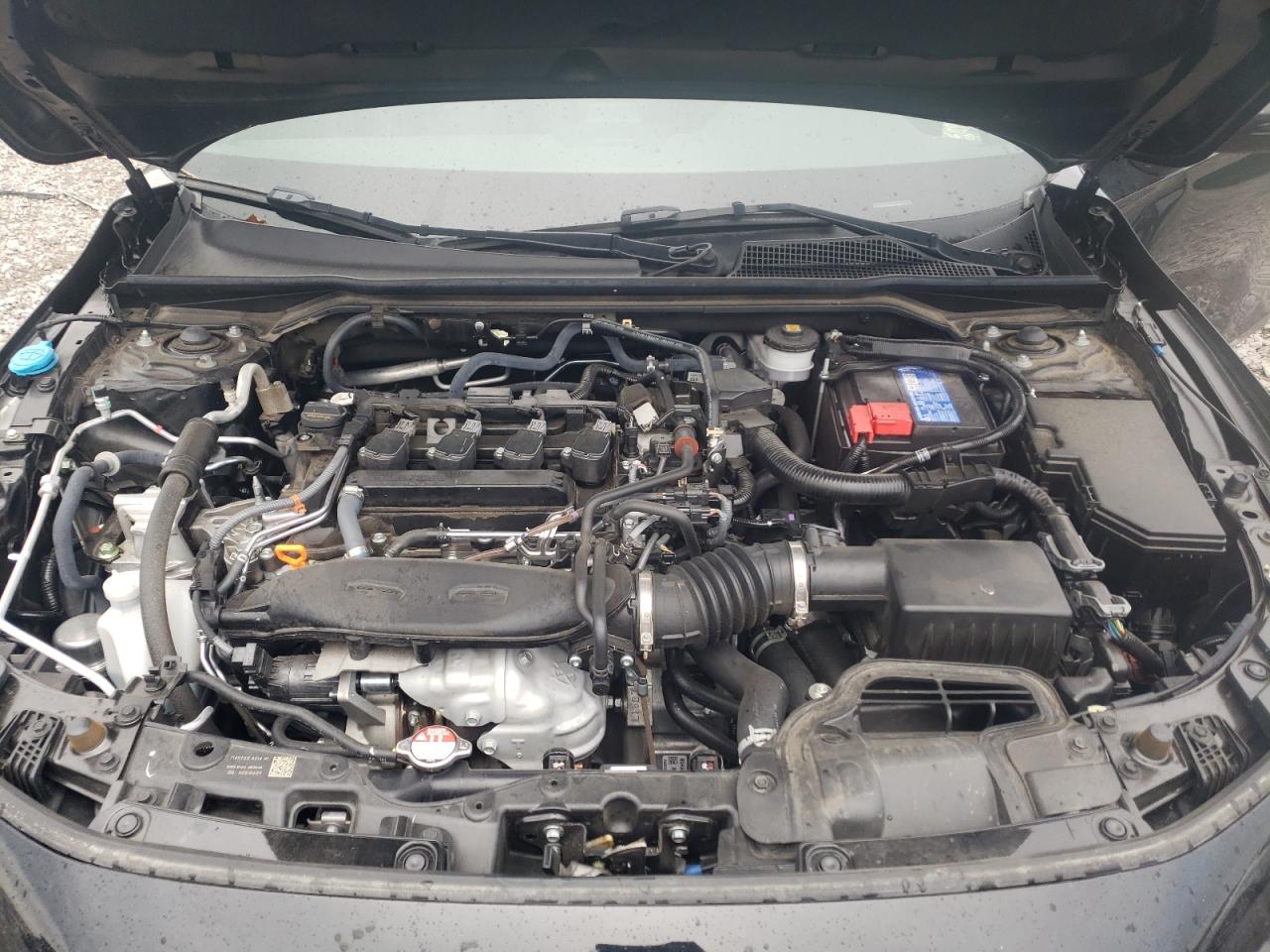 2024 Honda Civic VIN 19XFL1H86RE008609 Copart auction photo, side damage thumbnail 12