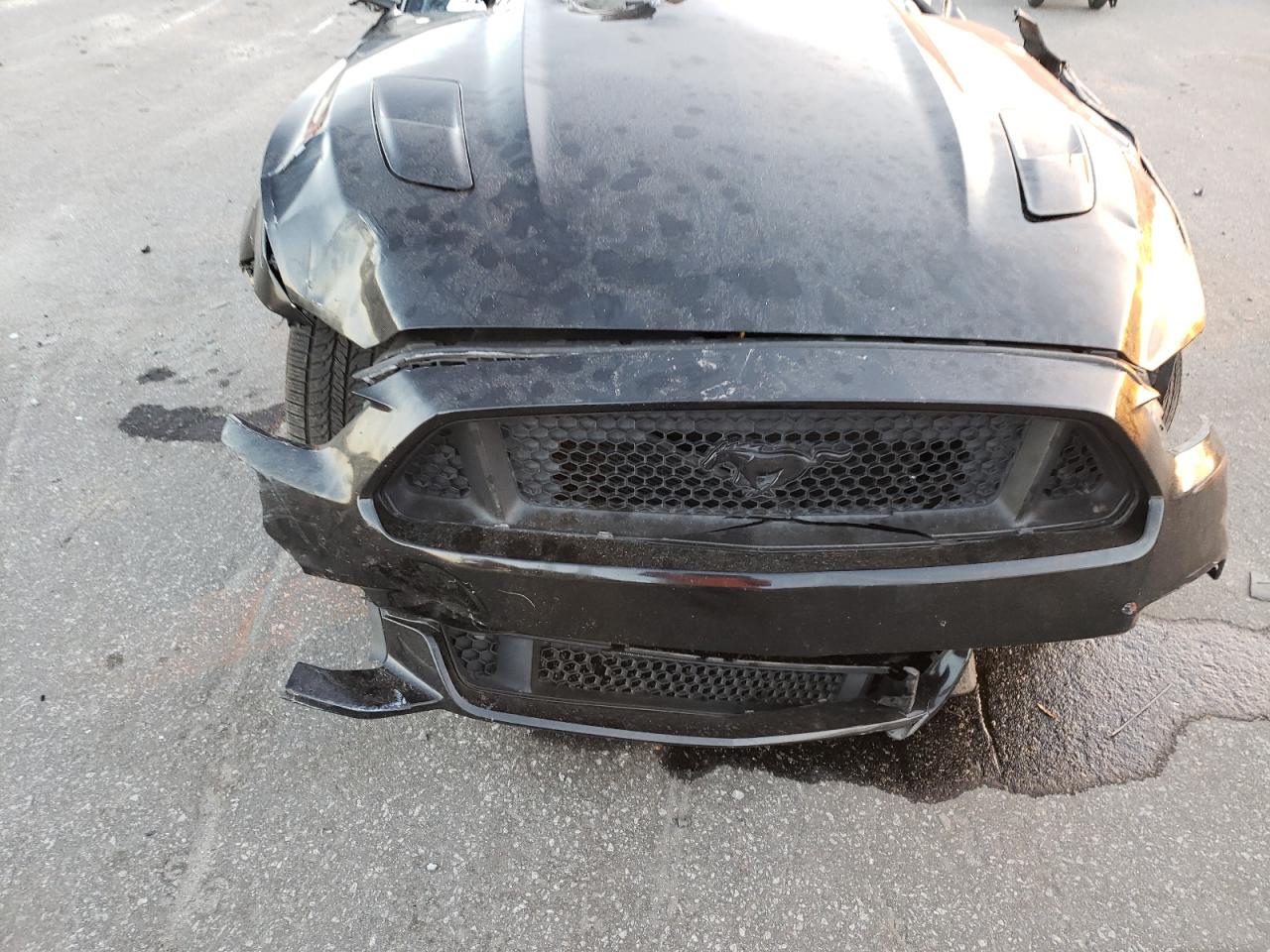 2017 Ford Mustang VIN 1FA6P8CF9H5281224 Copart auction photo, all over damage thumbnail 11