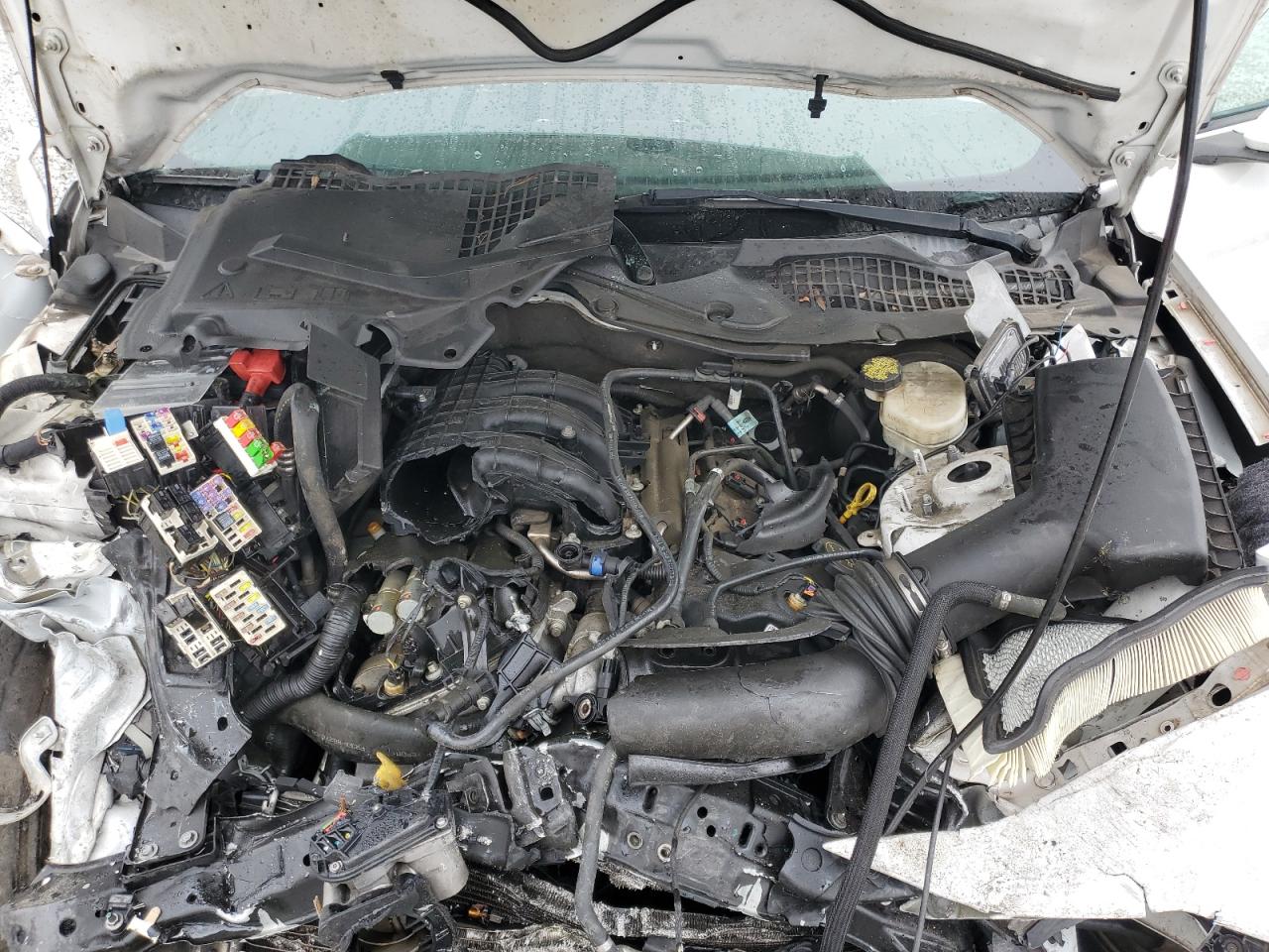2015 Ford Mustang VIN 1FA6P8AM4F5398983 Copart auction photo, front end / minor dent/scratches damage thumbnail 11