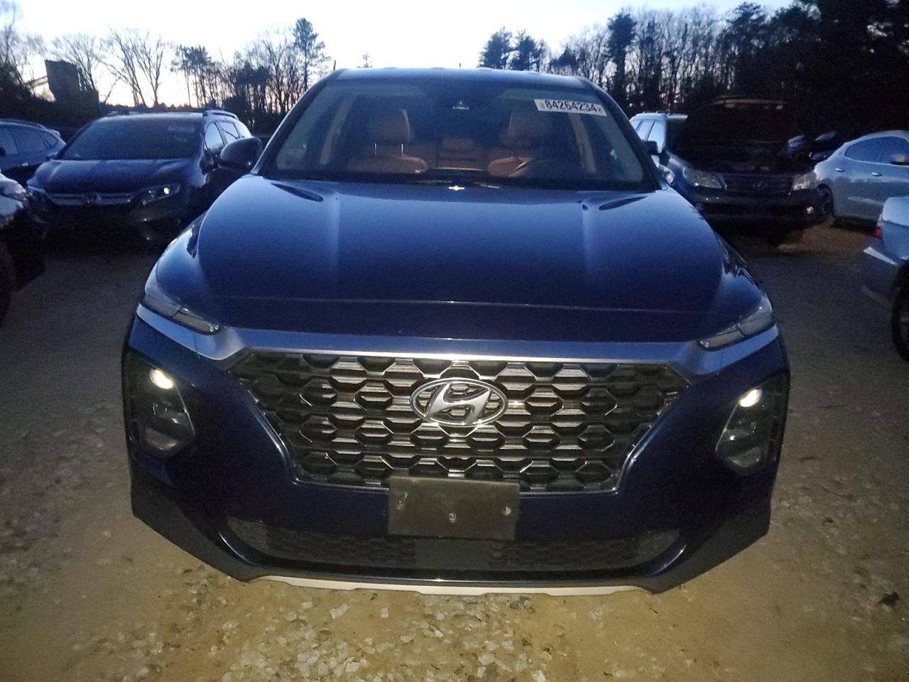 2020 Hyundai Santa Fe VIN 5NMS2CAD3LH255946 Copart auction photo, side / rear end damage thumbnail 5
