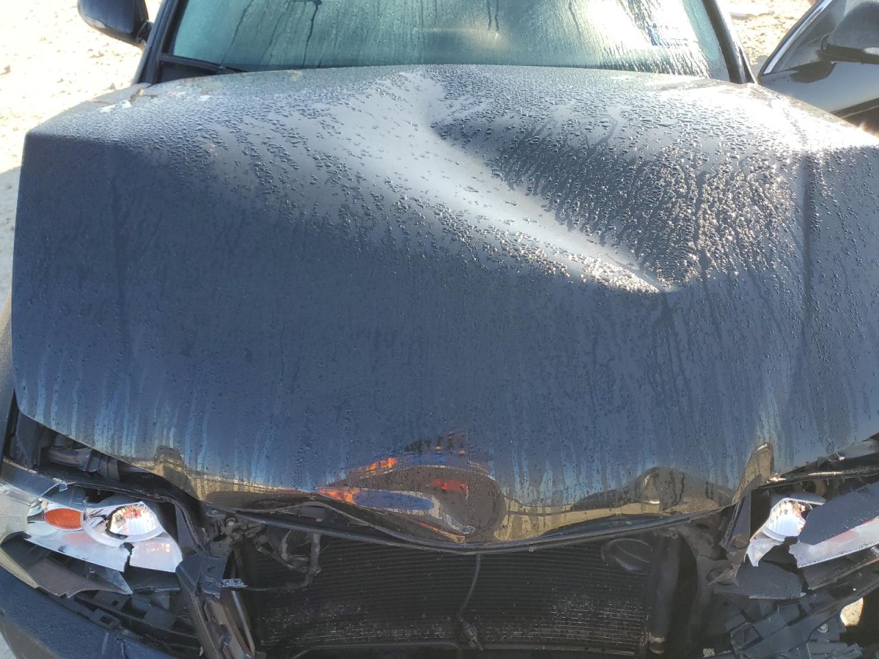2006 Acura TSX VIN JH4CL95836C031305 Copart auction photo, front end / minor dent/scratches damage thumbnail 11