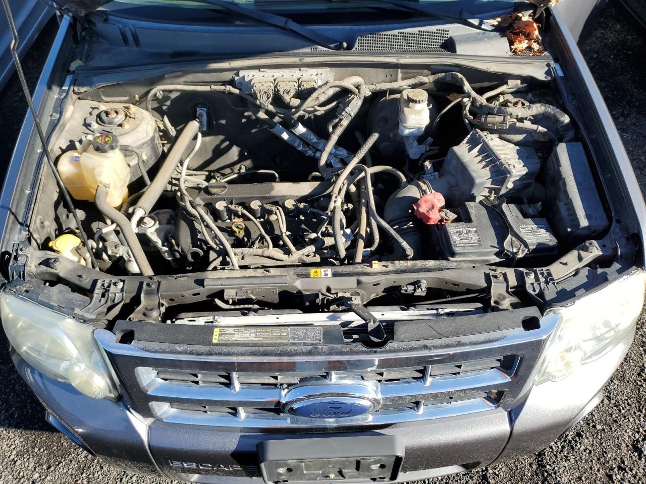 2009 Ford Escape VIN 1FMCU93799KB27406 Copart auction photo, side / rear end damage thumbnail 12