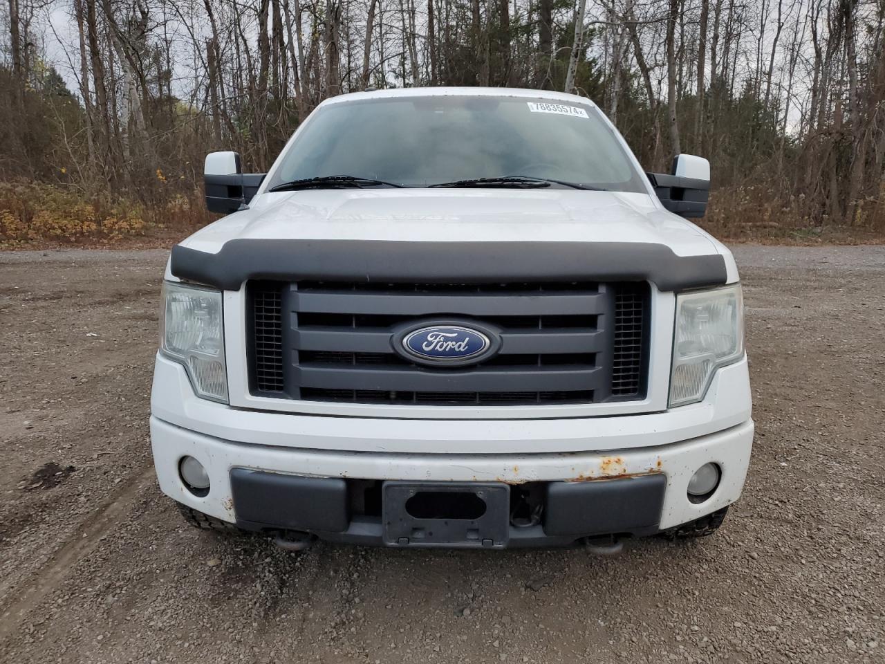 2010 Ford F-150 VIN 1FTFW1EVXAFD68008 Copart auction photo, normal wear damage thumbnail 5