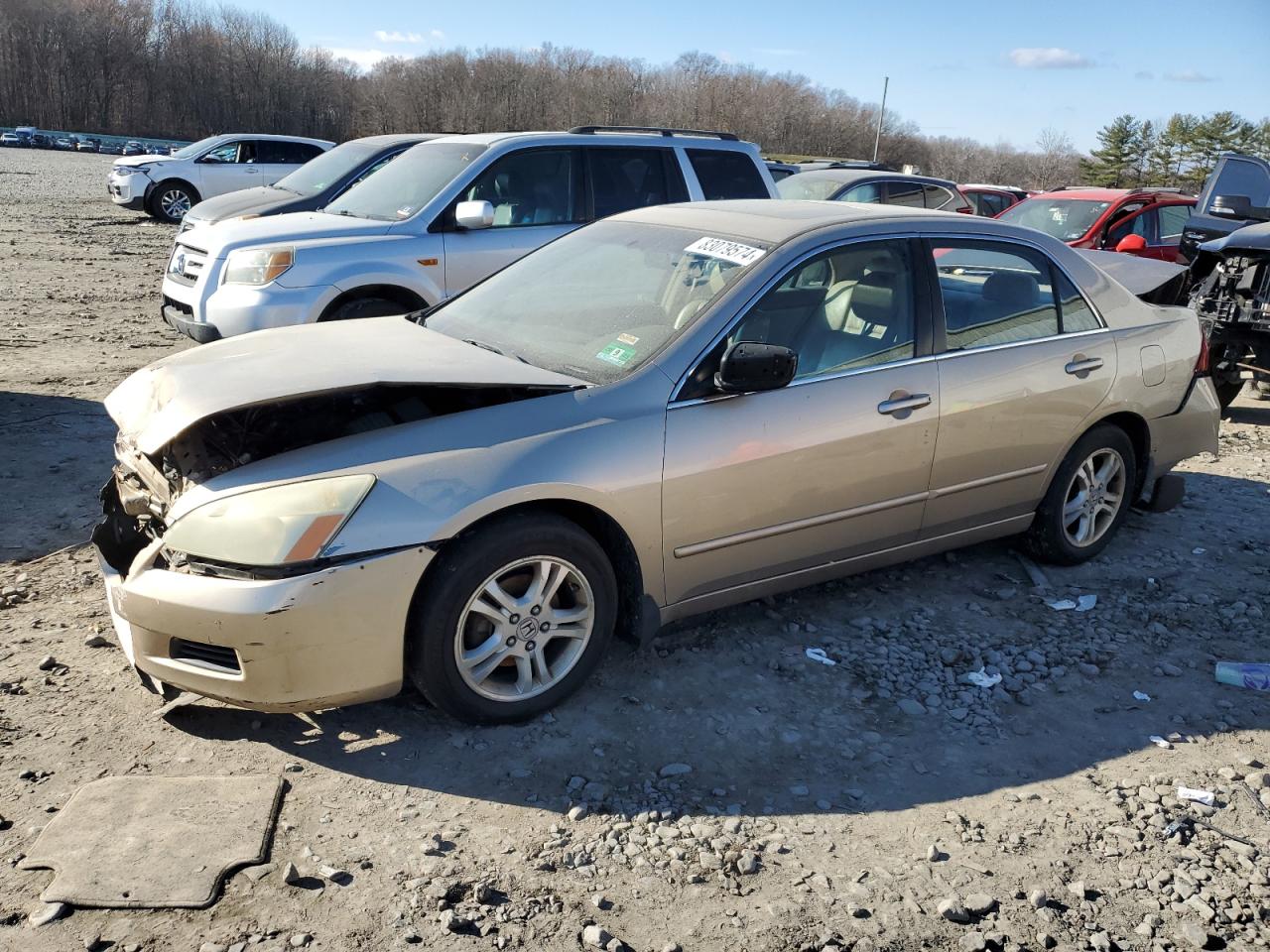 2006 Honda Accord VIN 1HGCM56766A059707
