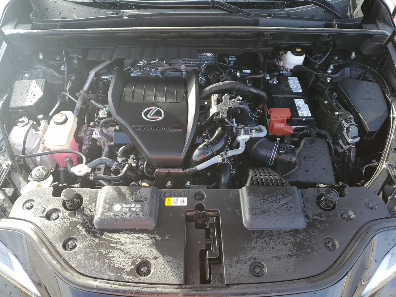 2023 Lexus NX VIN 2T2GGCEZ3PC026185 Copart auction photo, rear end damage thumbnail 12