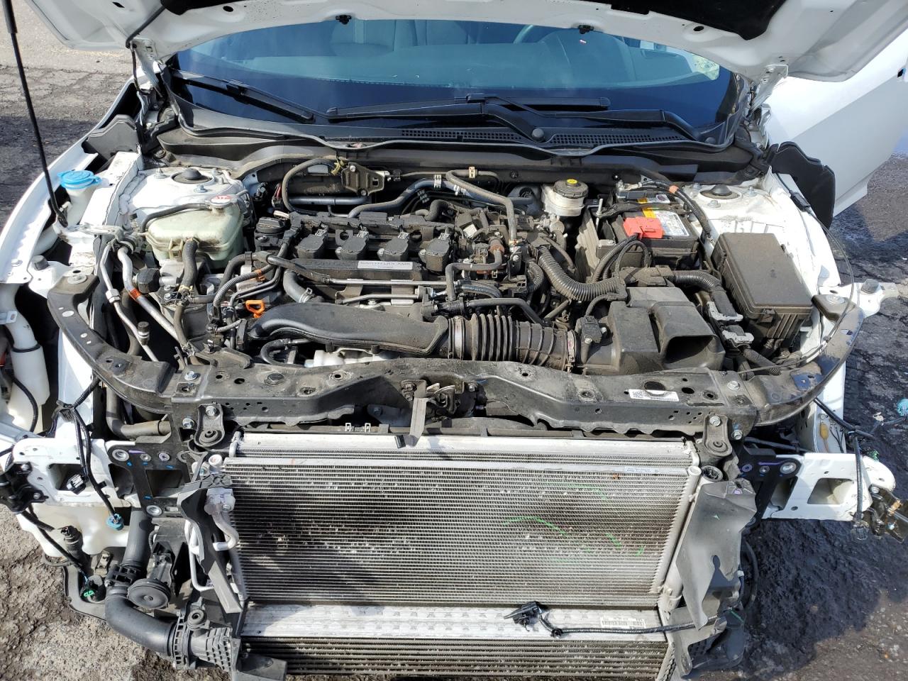2020 Honda Civic VIN 19XFC1F36LE202927 Copart auction photo, front end / side damage thumbnail 11