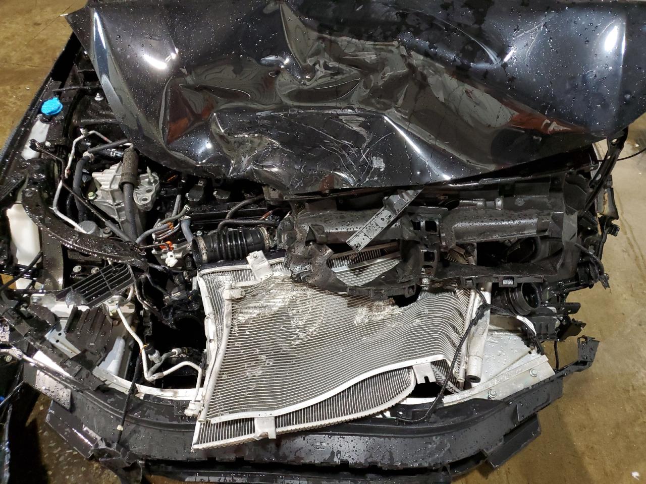 2023 Honda Civic VIN 2HGFE1F90PH318182 Copart auction photo, front end / rear end damage thumbnail 11