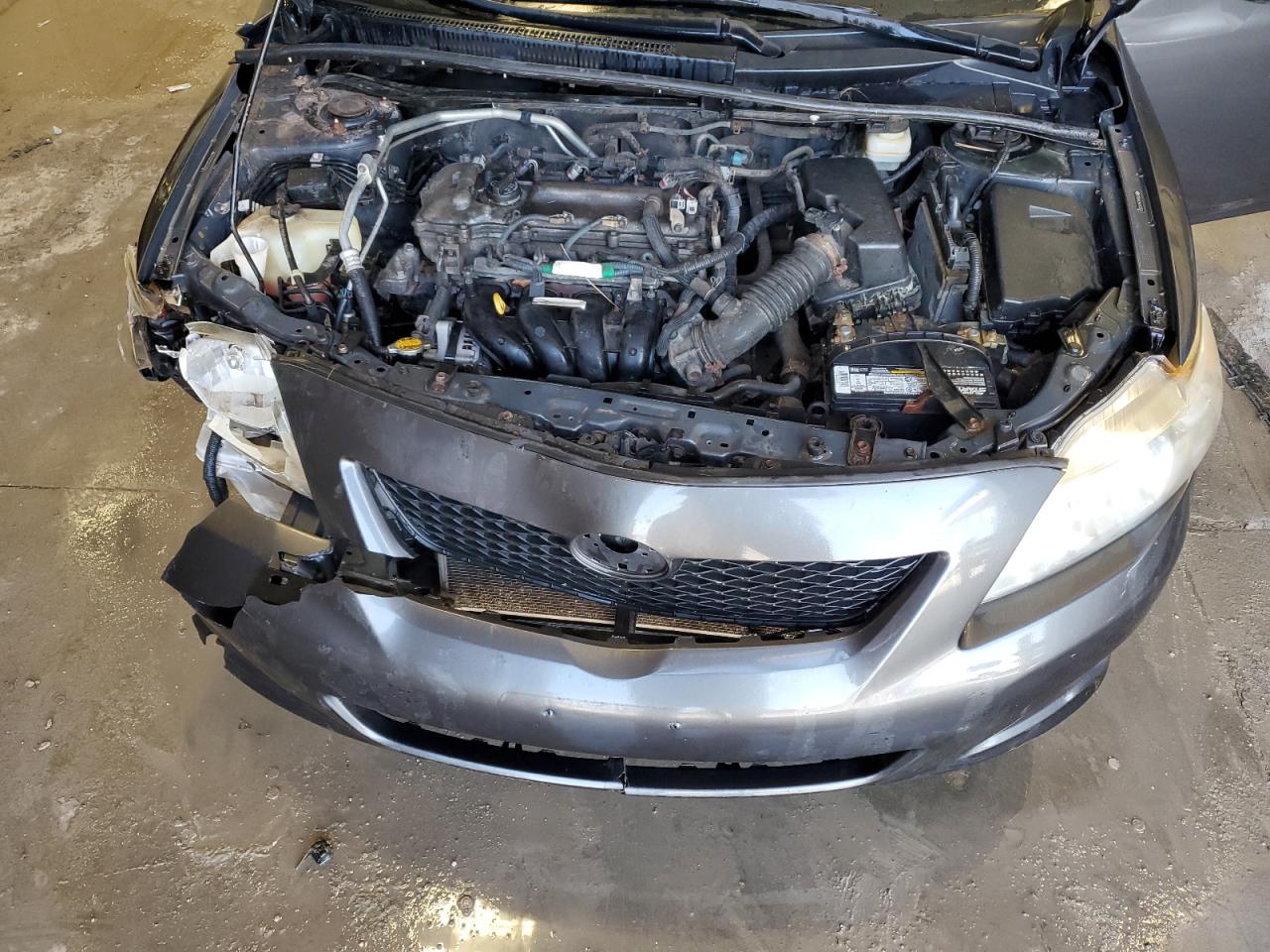 2010 Toyota Corolla VIN 2T1BU4EE9AC403569 Copart auction photo, front end damage thumbnail 11