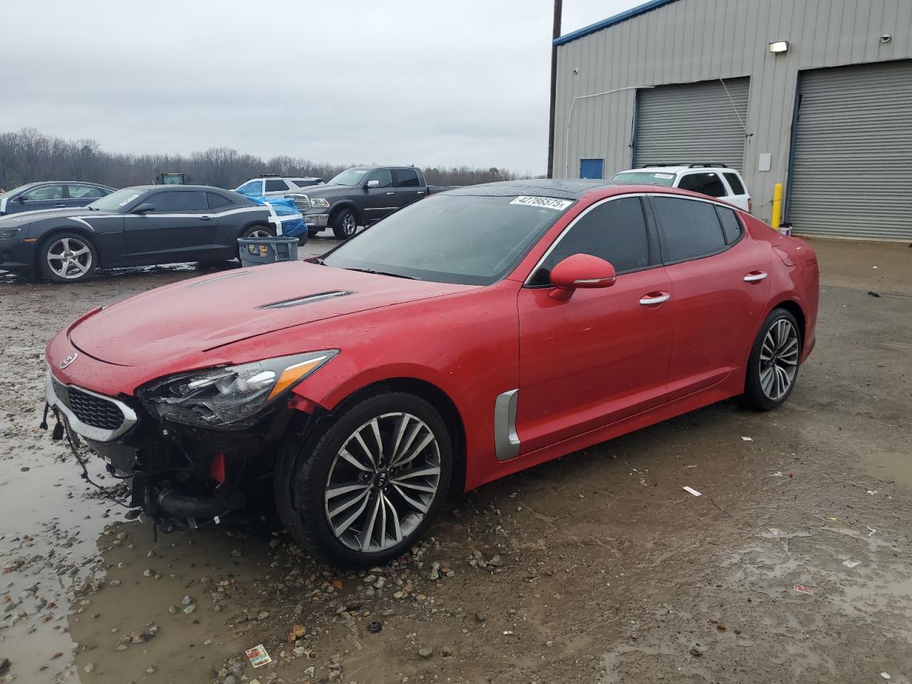 2019 KIA Stinger VIN KNAE25LA0K6059810