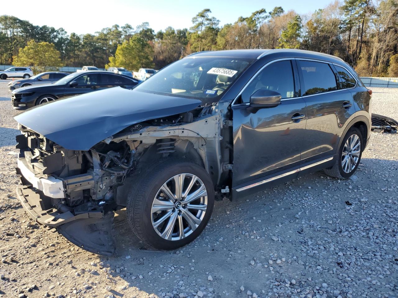 2021 Mazda CX-9 VIN JM3TCBEY2M0537870