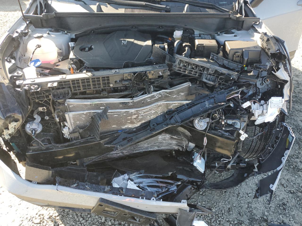 2023 KIA Sportage VIN 5XYK6CAF7PG094183 Copart auction photo, front end damage thumbnail 14
