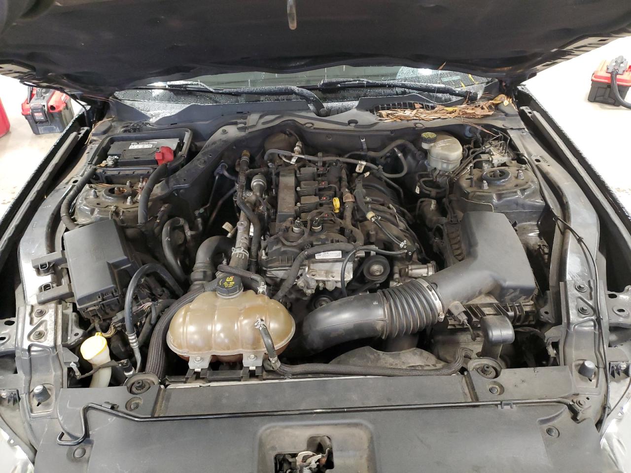 2016 Ford Mustang VIN 1FA6P8THXG5275528 Copart auction photo, front end / side damage thumbnail 11