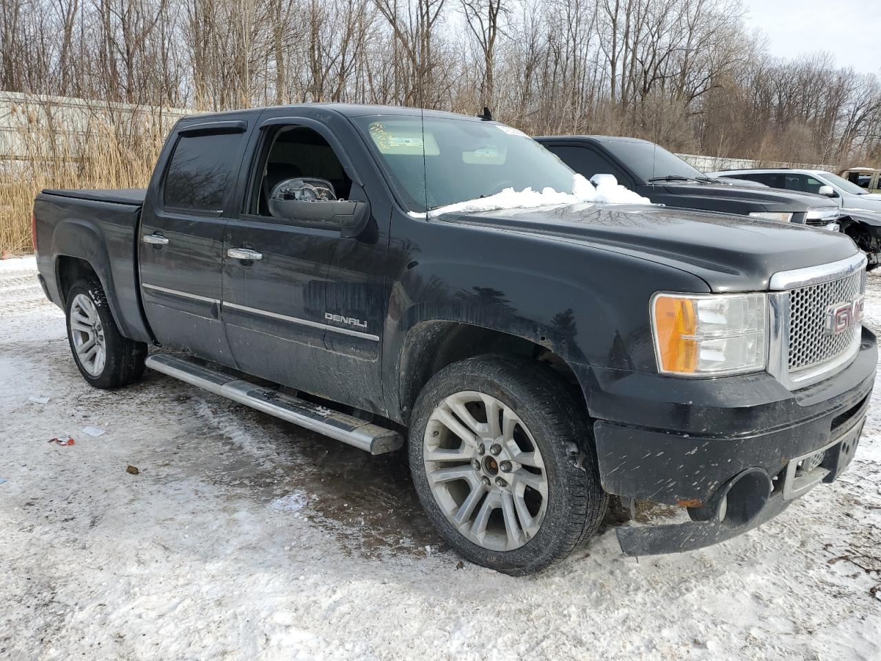 2009 GMC Sierra VIN 3GTEK03249G283363 Copart auction photo, side / rear end damage thumbnail 4