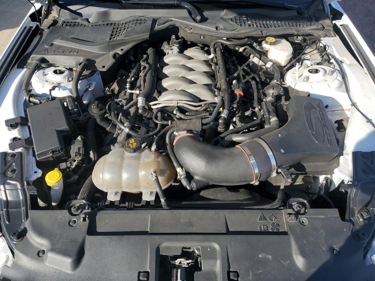 2019 Ford Mustang VIN 1FA6P8CF1K5166740 Copart auction photo, rear end damage thumbnail 13