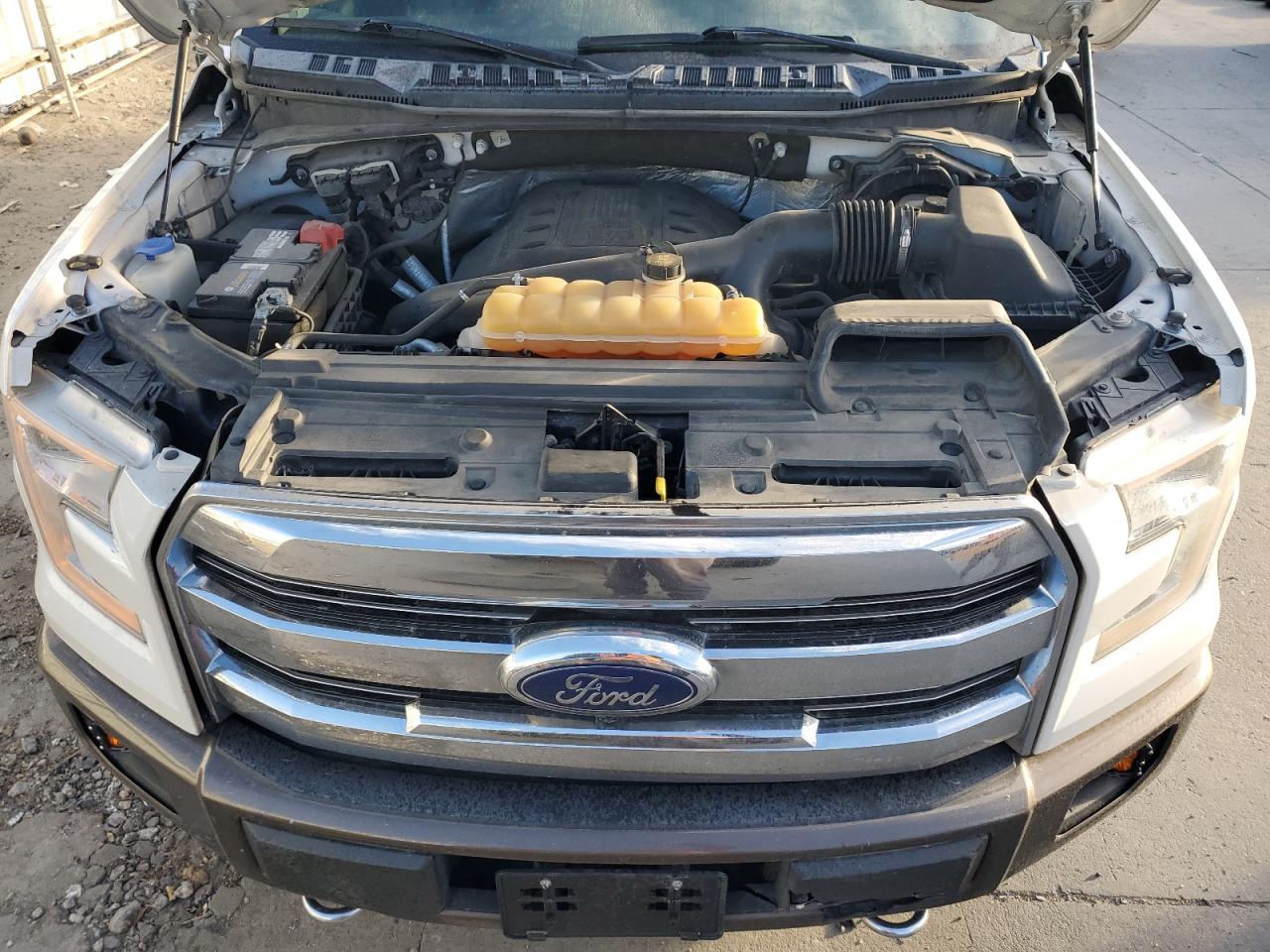 2015 Ford F-150 VIN 1FTFW1EG7FFA99491 Copart auction photo, rear end / hail damage thumbnail 11