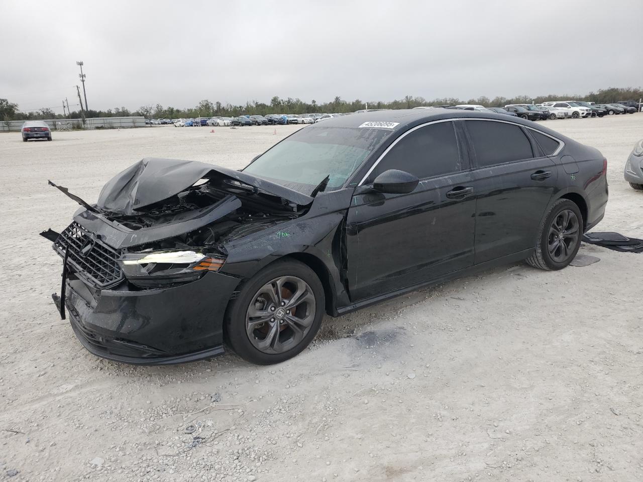 2023 Honda Accord VIN 1HGCY1F38PA006261