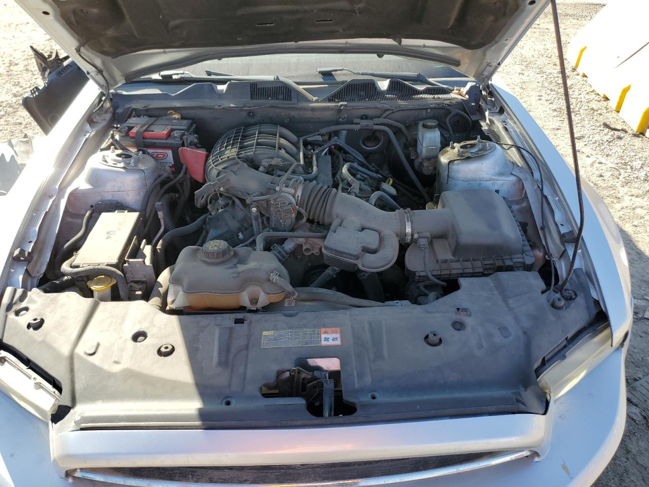 2013 Ford Mustang VIN 1ZVBP8AM6D5283417 Copart auction photo, side damage thumbnail 12