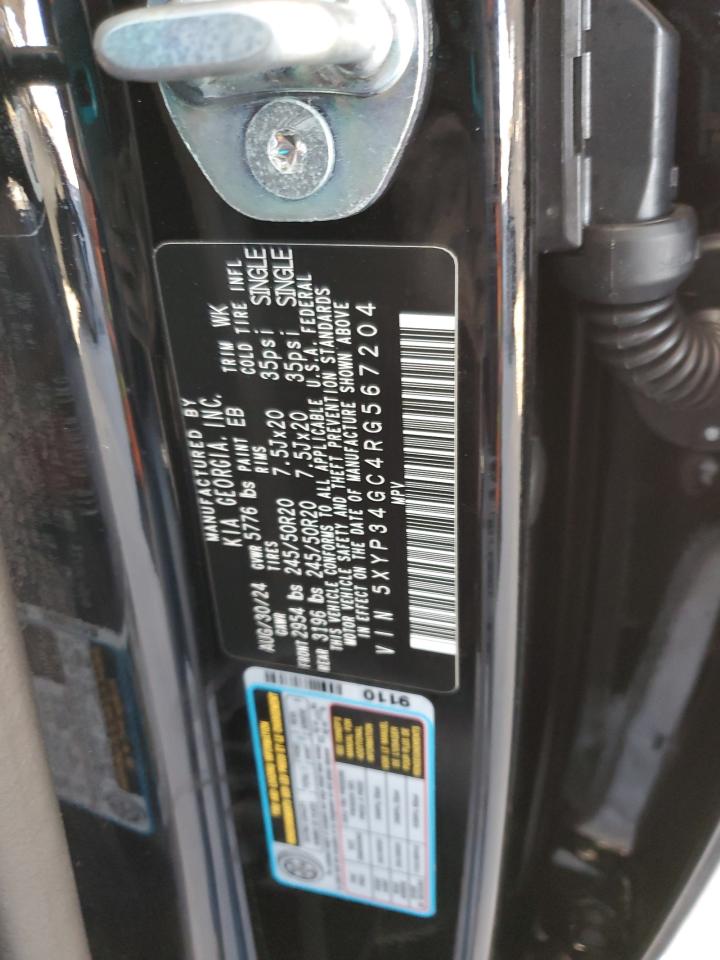 2024 KIA Telluride VIN 5XYP34GC4RG567204 Copart auction photo, rear end damage thumbnail 13