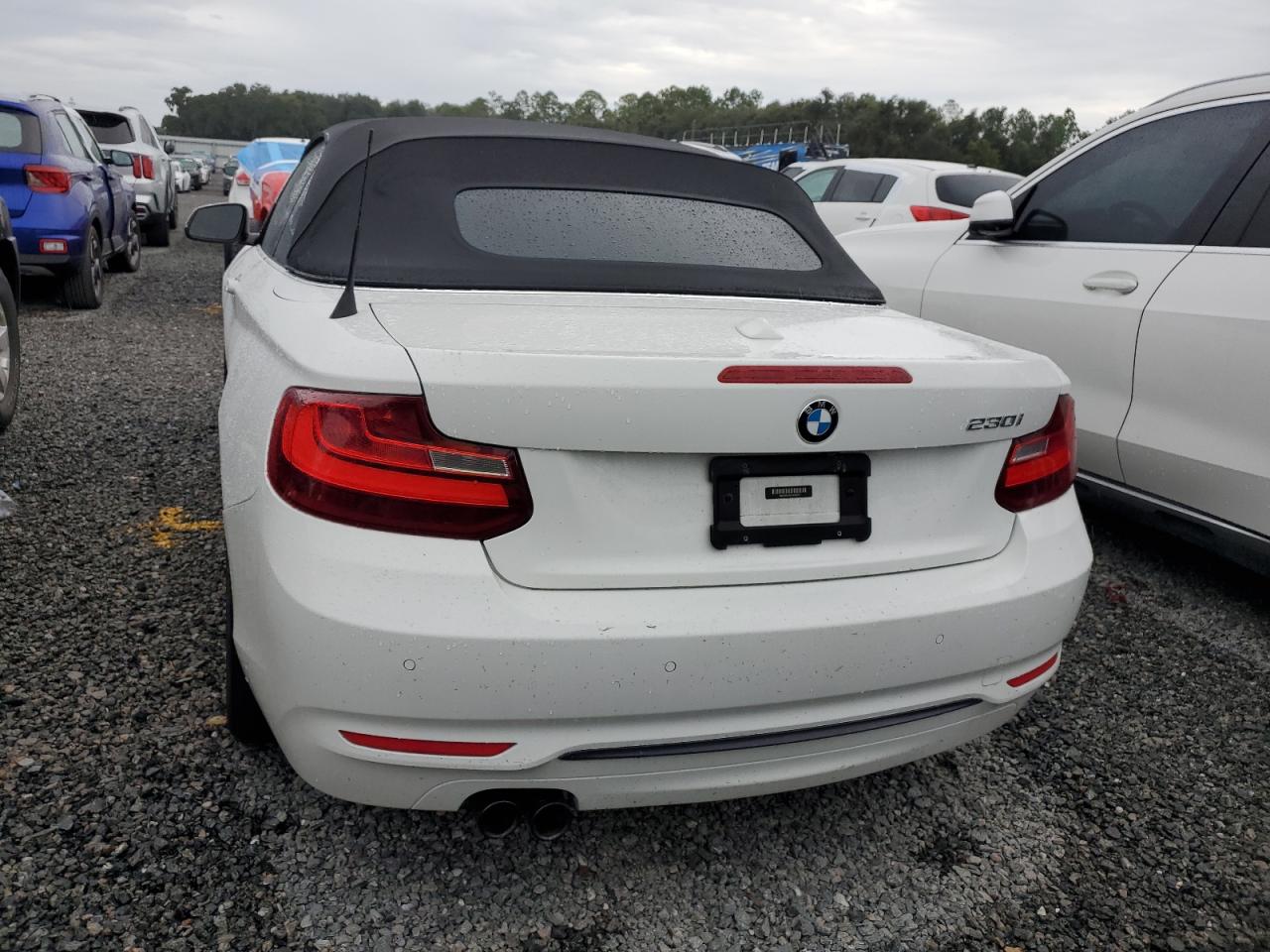 2017 BMW 2er VIN WBA2K9C32H7A26373 Copart auction photo, water/flood damage thumbnail 6