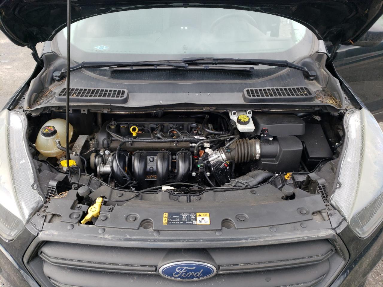 2018 Ford Escape VIN 1FMCU0F7XJUA35219 Copart auction photo, minor dent/scratches damage thumbnail 12