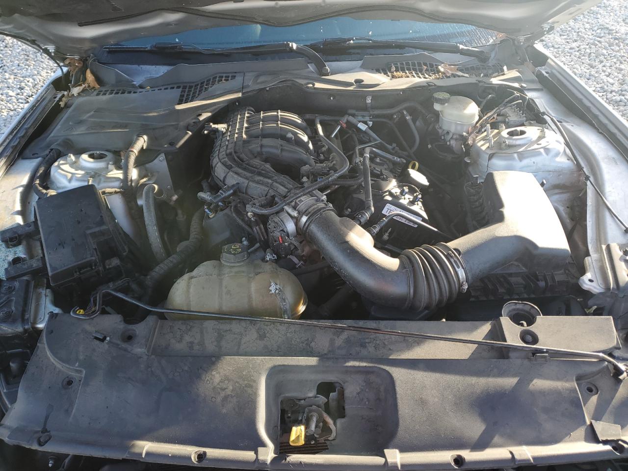 2015 Ford Mustang VIN 1FA6P8AM4F5317982 Copart auction photo, front end damage thumbnail 13