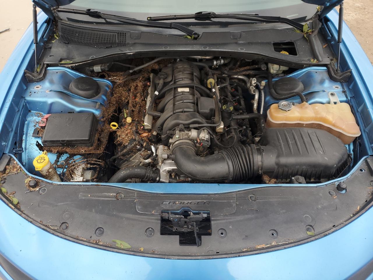 2015 Dodge Charger VIN 2C3CDXCT8FH906969 Copart auction photo, water/flood damage thumbnail 11