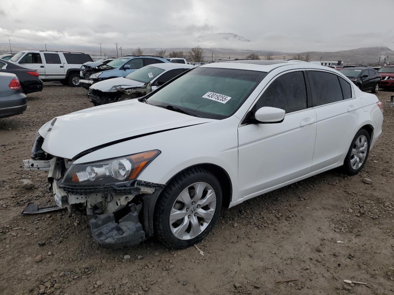 2010 Honda Accord VIN 1HGCP2F82AA148617