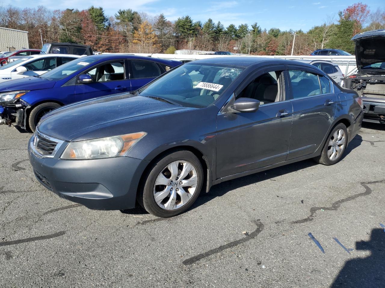 2010 Honda Accord VIN 1HGCP2F32AA029812