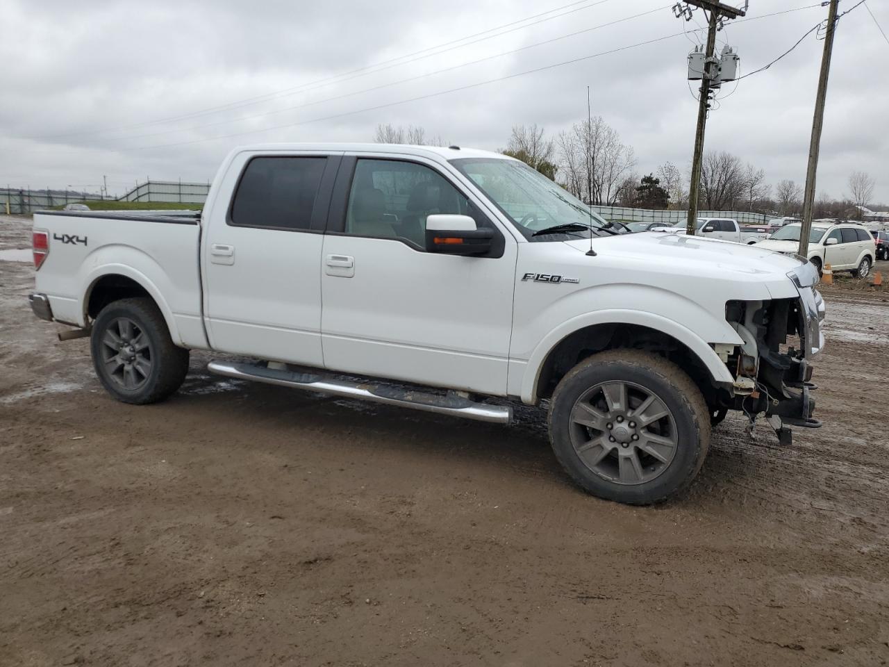2010 Ford F-150 VIN 1FTFW1EV4AFA11679 Copart auction photo, front end damage thumbnail 4