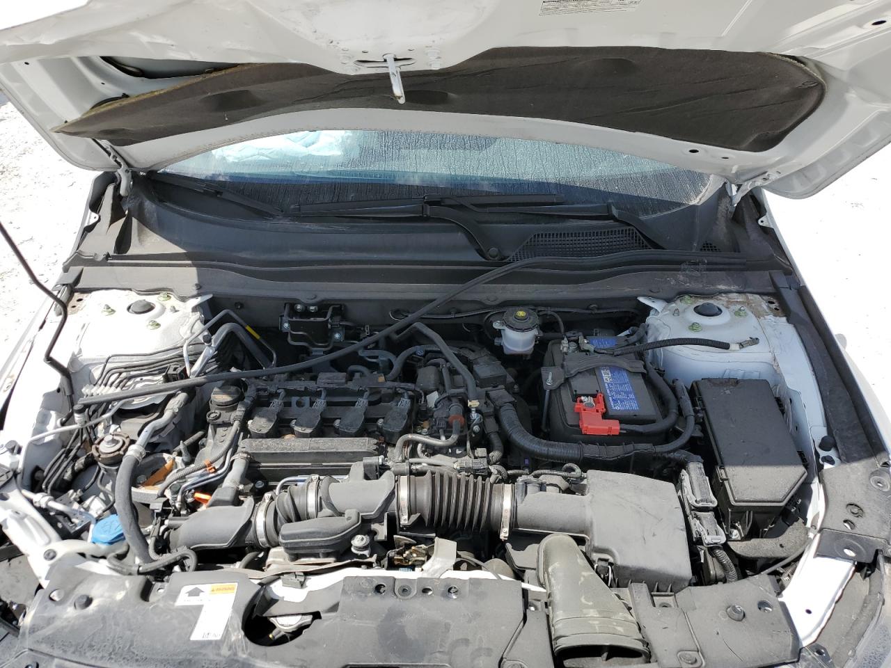 2021 Honda Accord VIN 1HGCV1F19MA112883 Copart auction photo, front end damage thumbnail 11