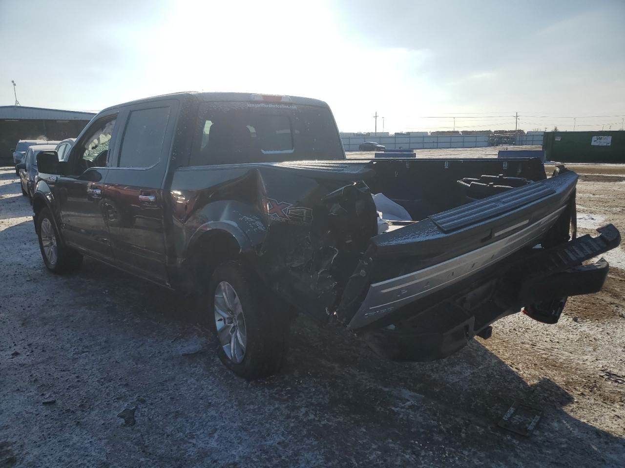 2017 Ford F-150 VIN 1FTEW1EG1HFB21869 Copart auction photo, side damage thumbnail 2