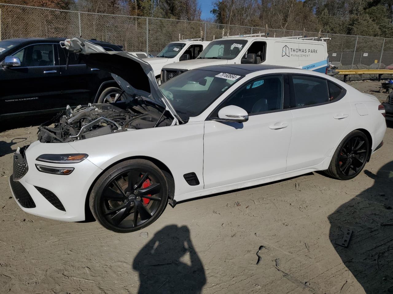 2023 Genesis G70 VIN KMTG54TE2PU124578