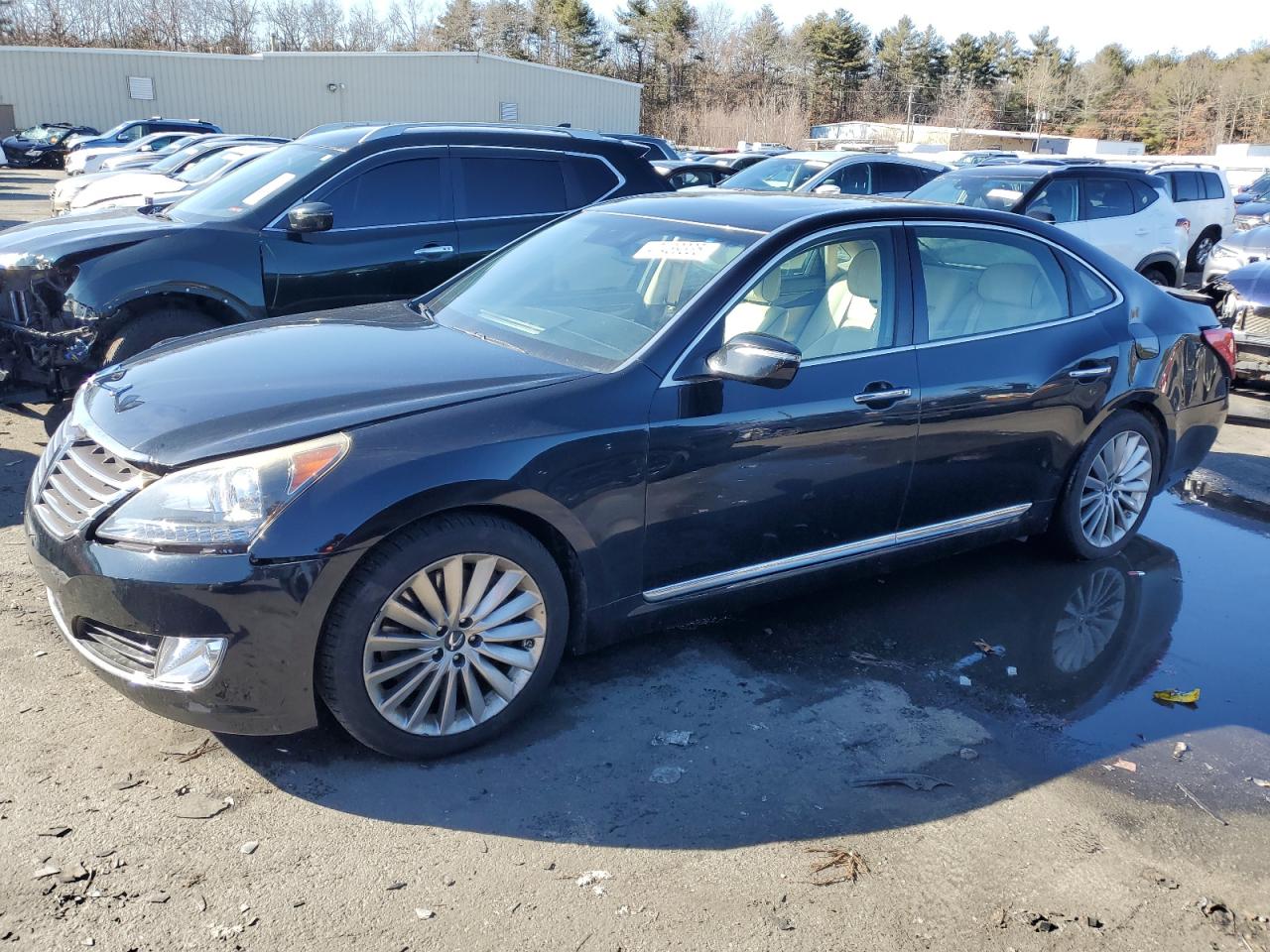 2015 Hyundai Equus VIN KMHGH4JH2FU098738 - Copart auction photo